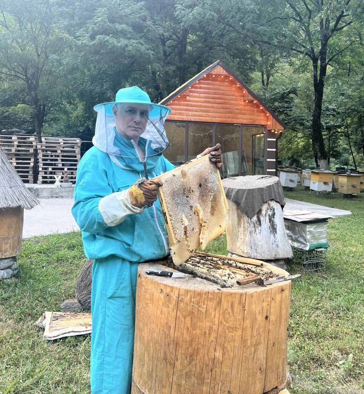 Альпийские ульи